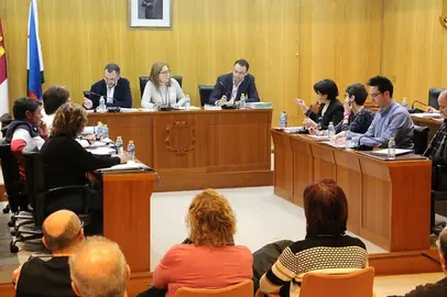 Pleno febrero 2017