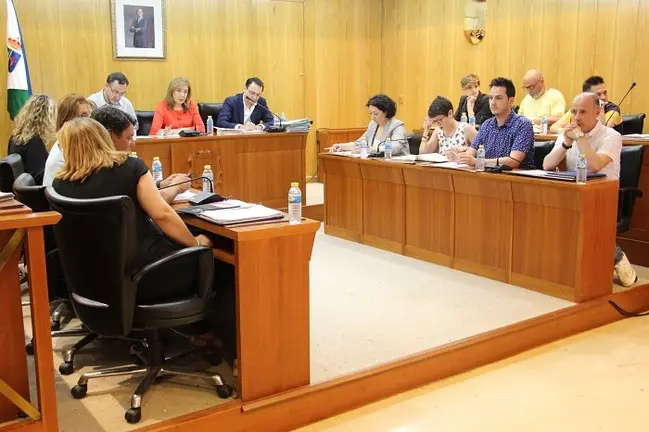 Pleno mayo 2017