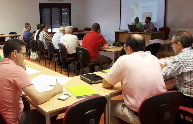 Sectorial de Aceite de Oliva de Cooperativas