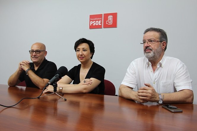 Asamblea PSOE Nemesio De Lara