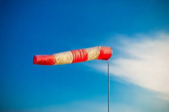 Viento