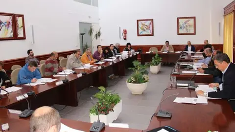 pleno noviembre 02