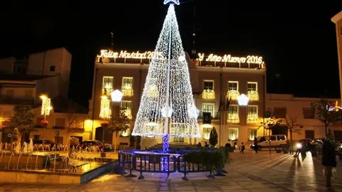 arbol