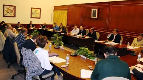 pleno web