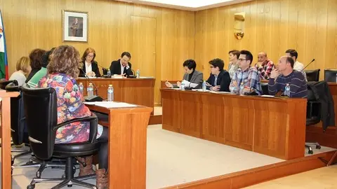 Pleno ordinario
