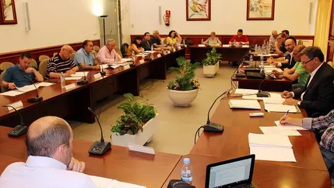 pleno junio 02
