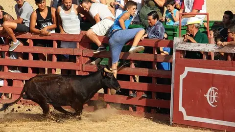 Vaquillas Casqueral 2016