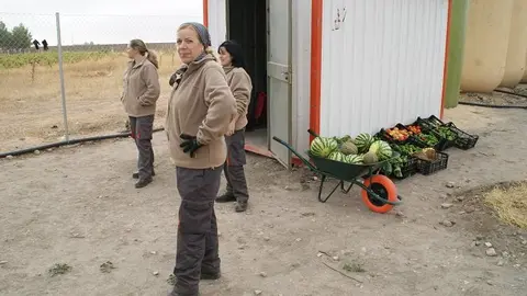 Taller Agricultura Ecol&oacute;gica