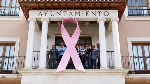 Lazo Rosa Ayuntamiento AECC