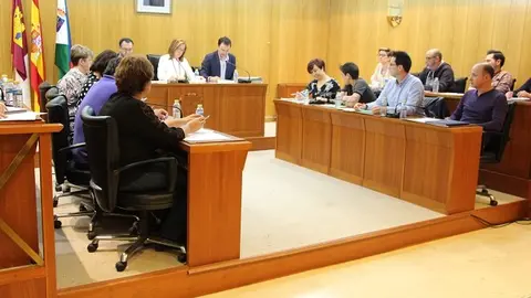Pleno octubre 2016