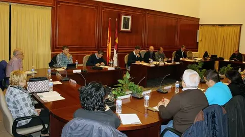 Pleno noviembre Comsermancha