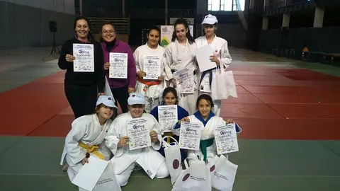 Shogai Judo