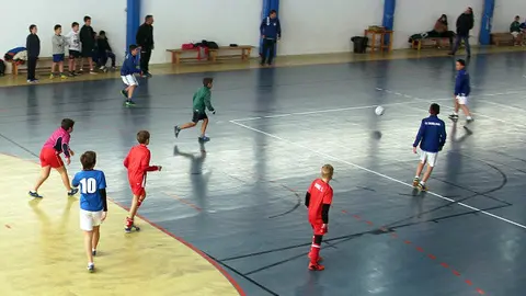 F&uacute;tbol Sala