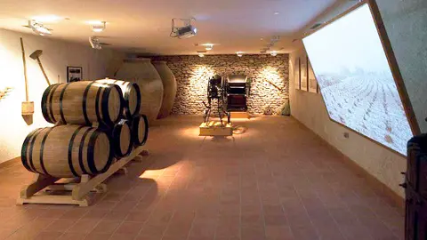 Museo Torre del Vino