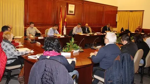 pleno enero 17