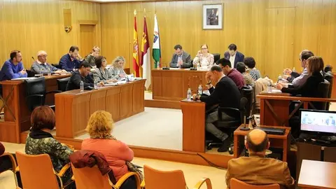 Pleno enero 2017