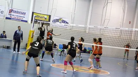 CV Kiele Universidad de Alicante