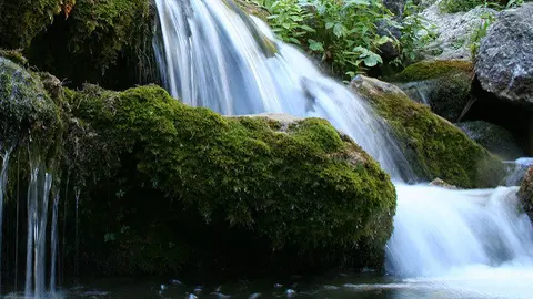 R&iacute;o Mundo
