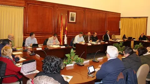 pleno 02