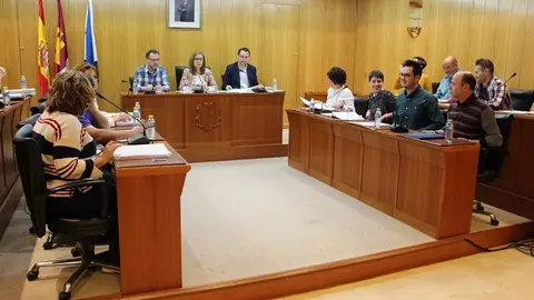 Pleno marzo 2017