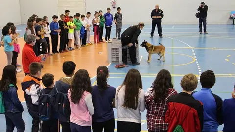 Unidad canina Protecci&oacute;n Civil