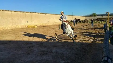 equitacion3
