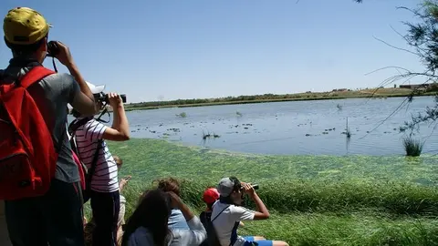 ni&ntilde;os naturaleza excursi&oacute;n