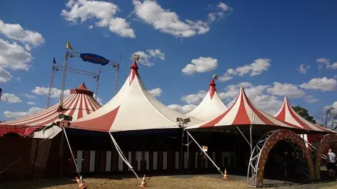circus-231549_1920