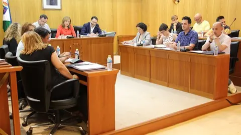 Pleno mayo 2017