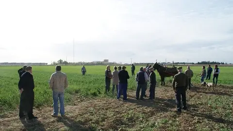 muleros