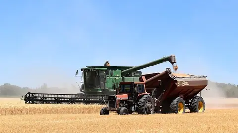 cosechadora cultivo cereal cereales