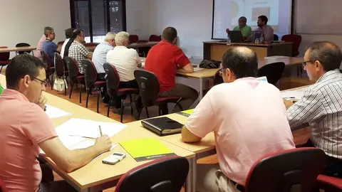 Sectorial de Aceite de Oliva de Cooperativas