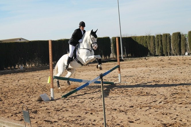 CABALLOSALTO