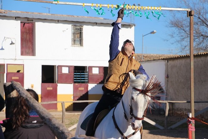 Carrera de Cintas San Antón