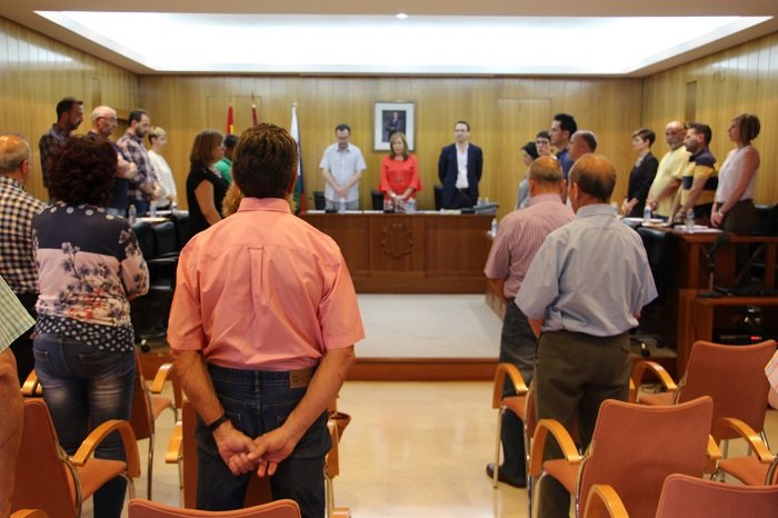 Pleno mayo 2017