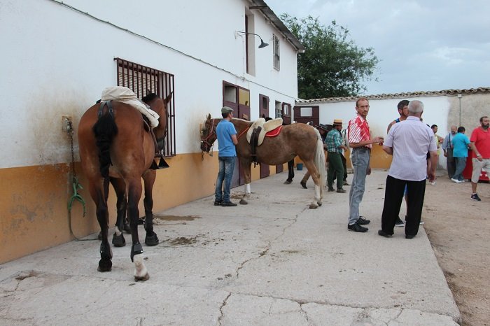 Club hípico equitación morales