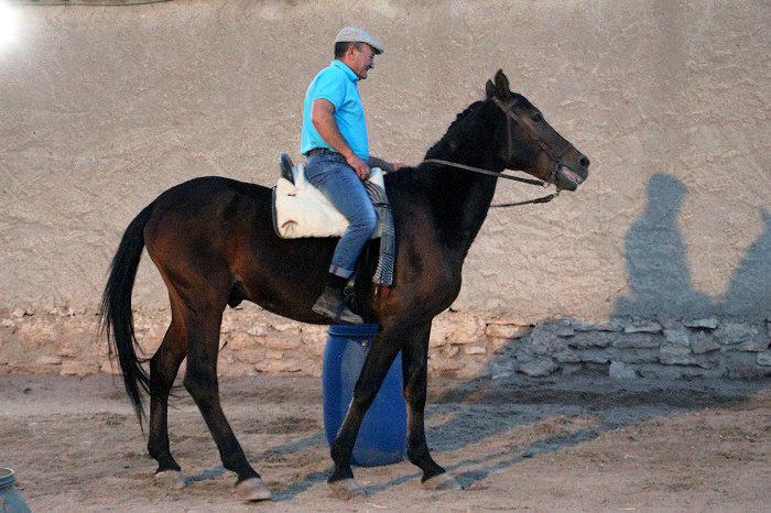 Club hípico equitación morales